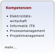 Kompetenzen 	Elektrizitts-wirtschaft 	Informatik ITK 	Prozessmanagement 	Projektmanagement  mehr...